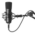 mic